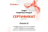 О вручении сертификата «Лидер тендерных продаж» 2025 в Томске 